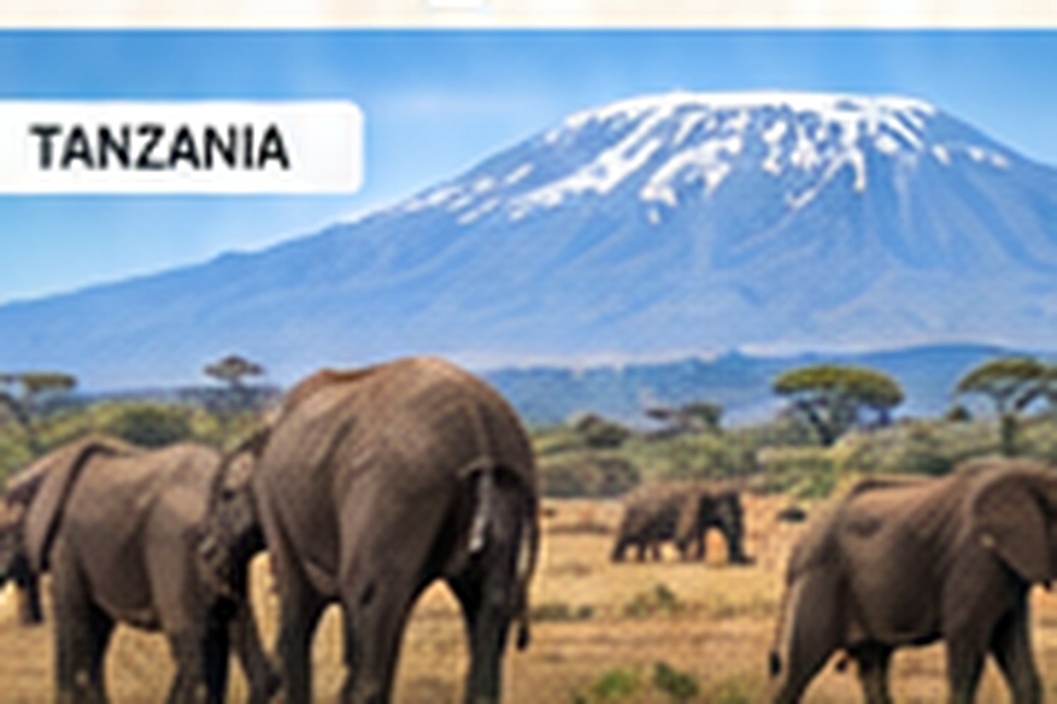 Tanzania safari