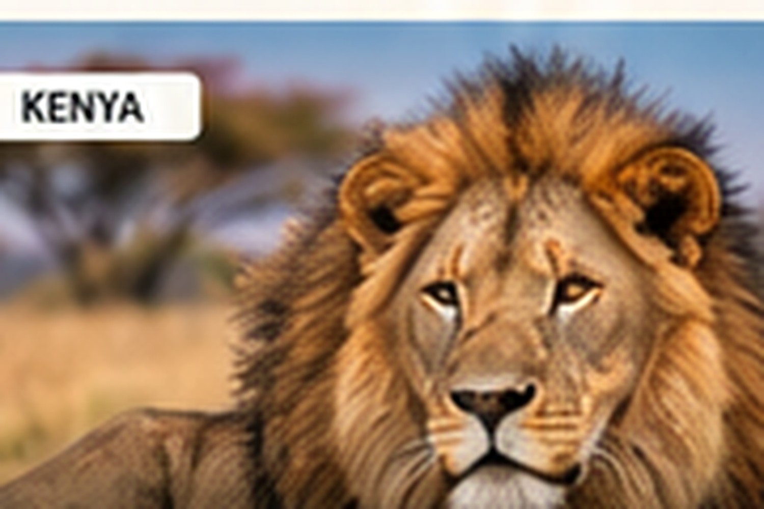 Pillars of Africa safari guide