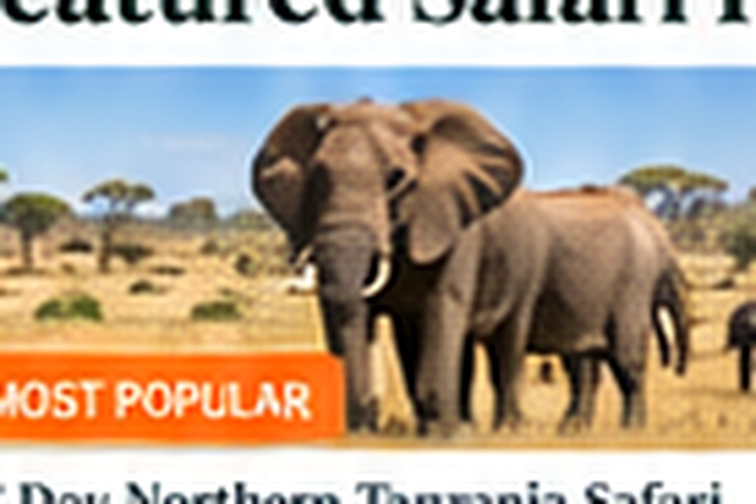 Uganda safari