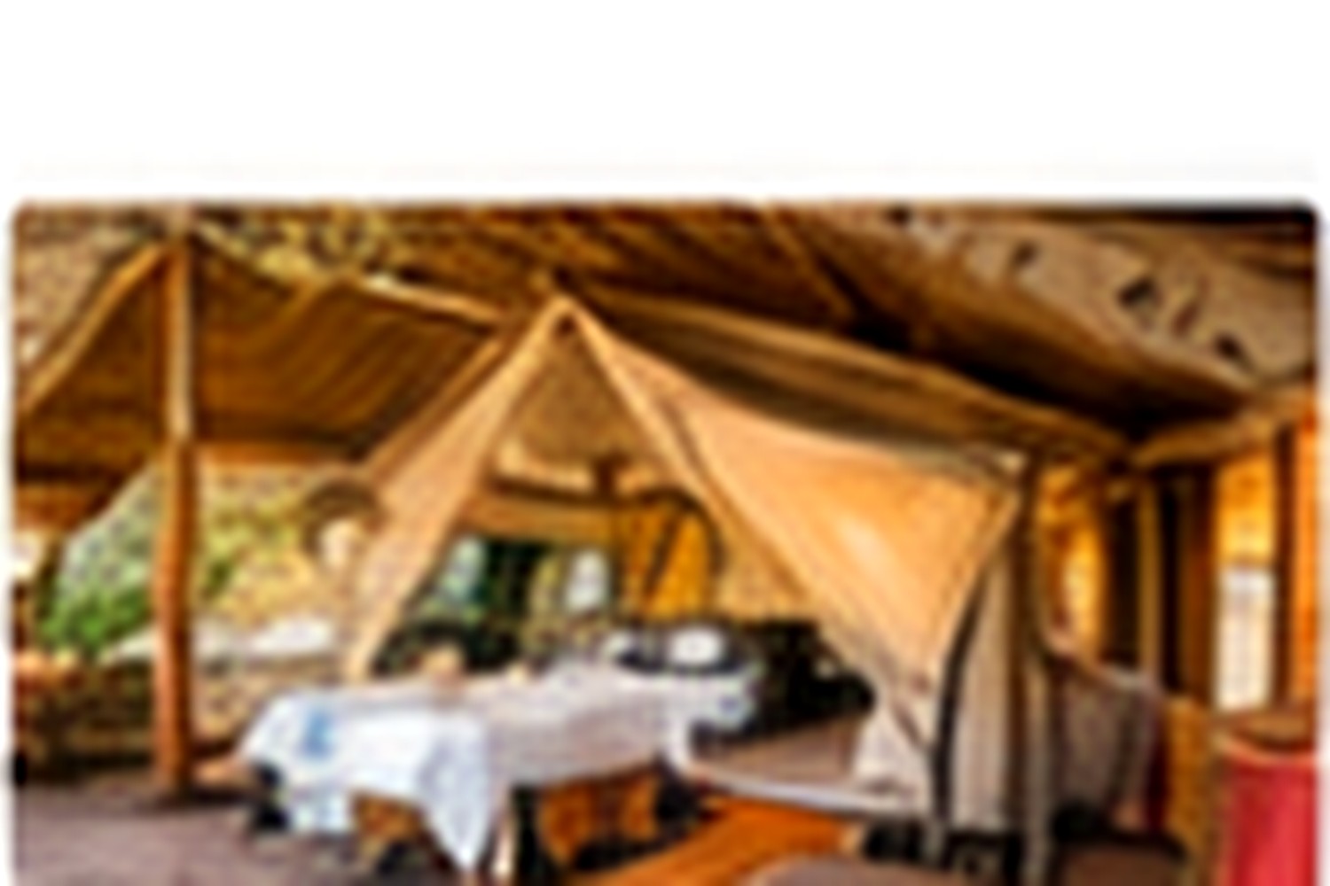 8 Days Kenya Nature Photography