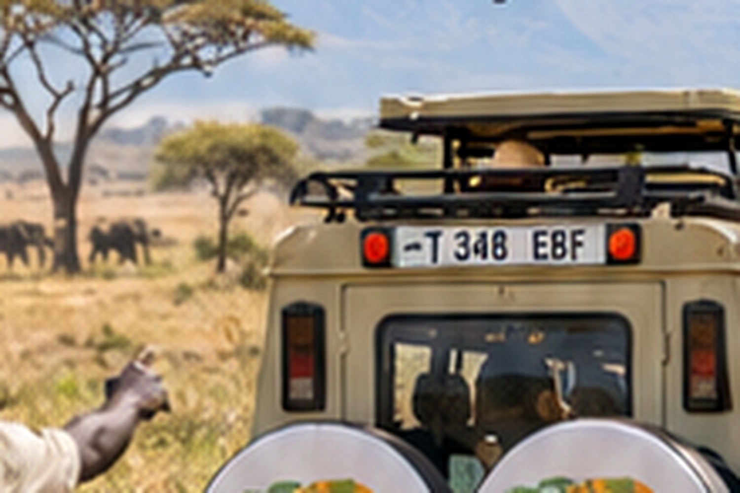 Pillars of Africa safari moment 5