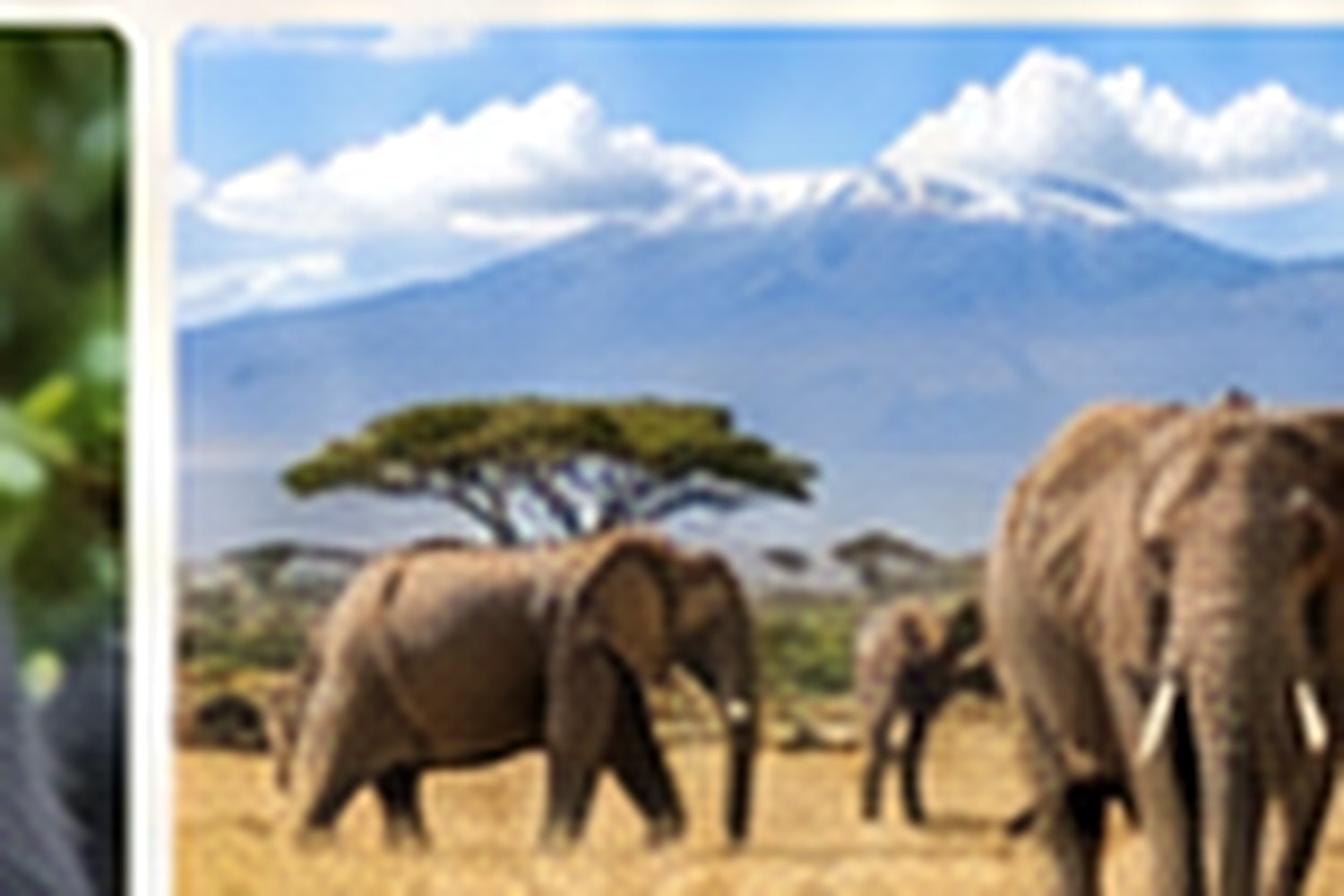 Pillars of Africa safari moment 9