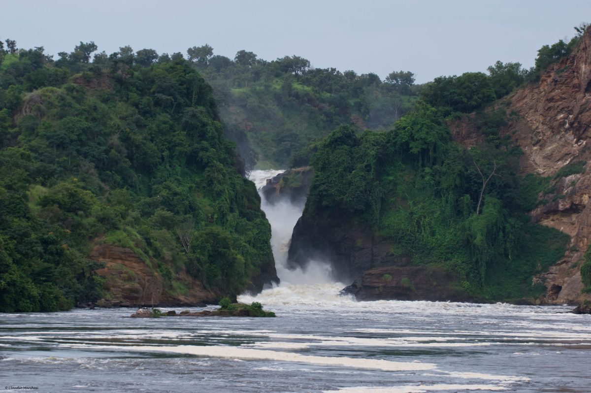 2 Days Murchison Falls Safari