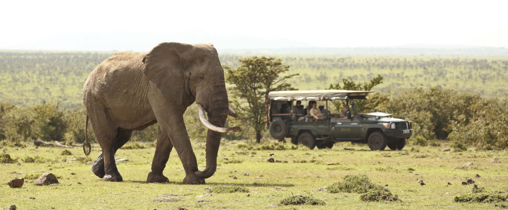 3-days queen elizabeth national apark