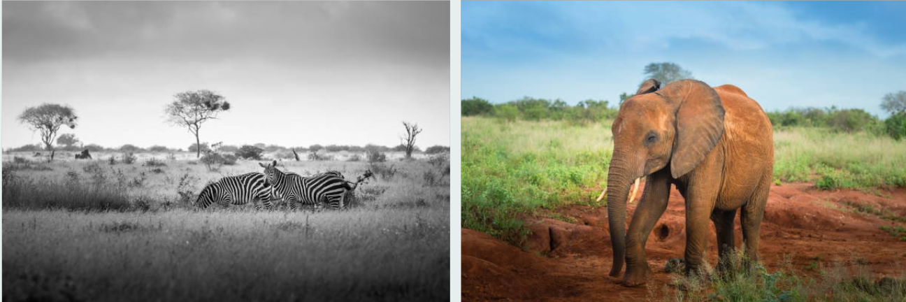 Sunset over Lake Tanganyika at Mahale Mountains National Park, Tanzania