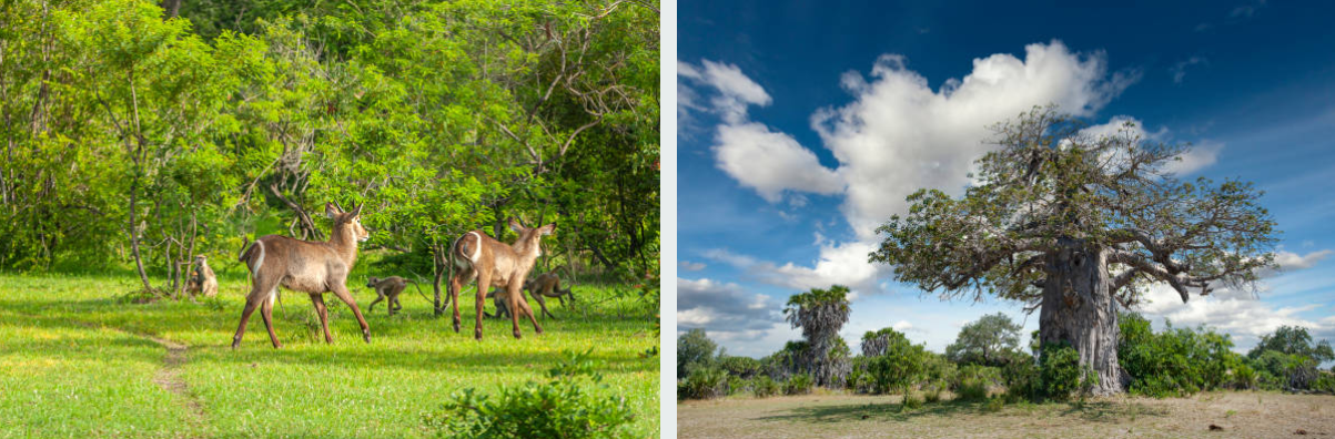 Sunset over the Rufiji River in Nyerere National Park