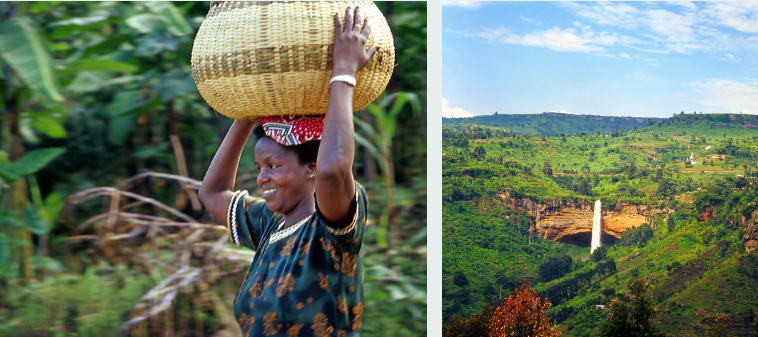 Lush forests and wildlife in Mount Elgon National Park, Uganda
