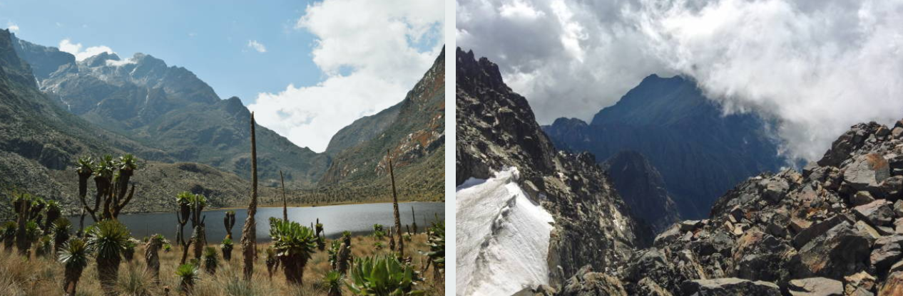 Majestic Rwenzori Mountains National Park with snow peaks and lush forests