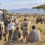 7 Day Kilimanjaro Views and Tanzania Safari