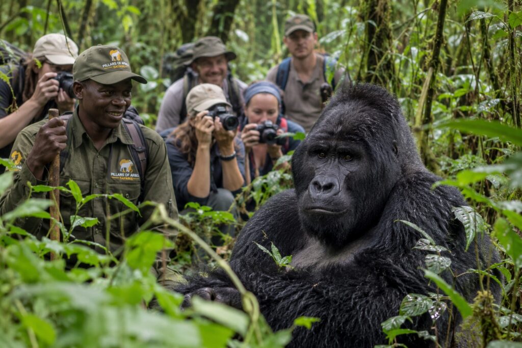 11 Day Tanzania Rwanda Gorillas and Serengeti Tour