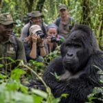 11 Day Tanzania Rwanda Gorillas and Serengeti Tour