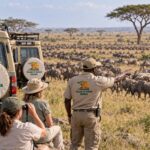 8 Day Tanzania Migration Group Safari
