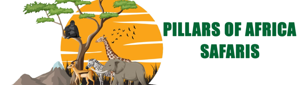 How Small Group Safari Planning Works in East Africa