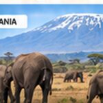 7 Day Northern Tanzania Group Safari