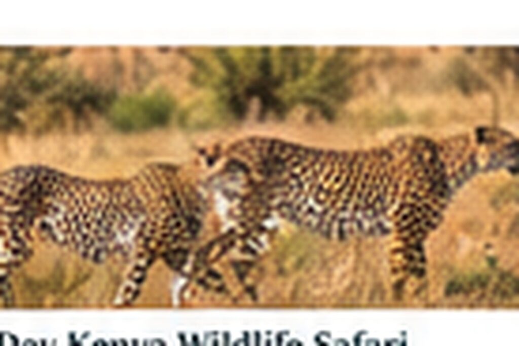 Kilimanjaro Day Hikes and Foothill Experiences