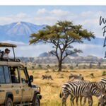 11 Day Tanzania Rwanda Gorillas and Serengeti Tour
