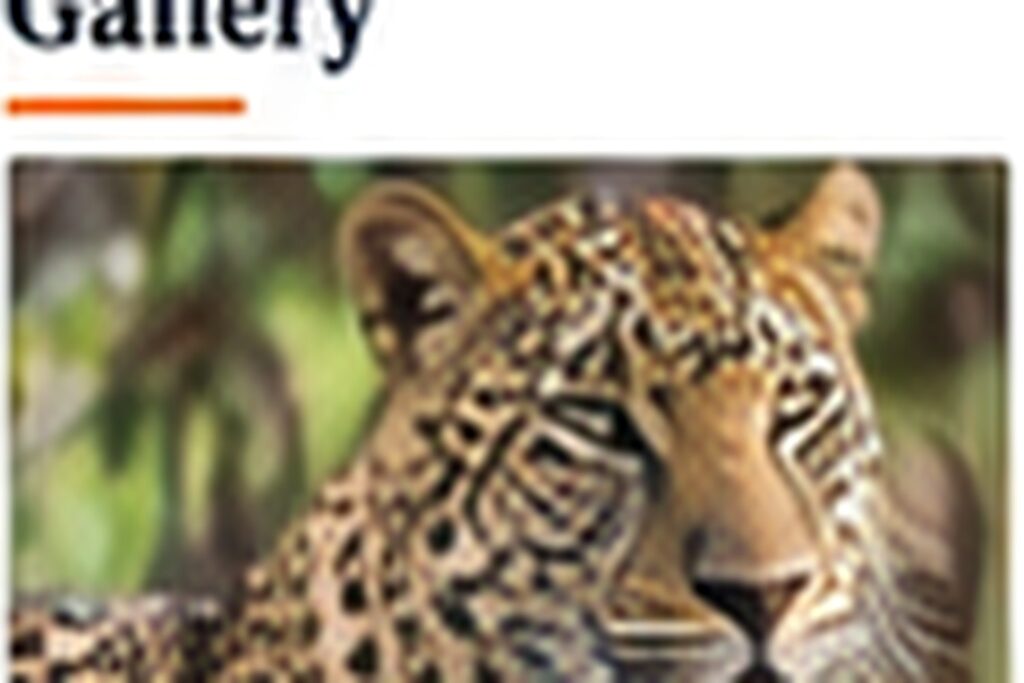 10 Day Tanzania Kenya Classic Group Safari