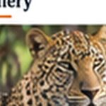 10 Day Tanzania Kenya Classic Group Safari
