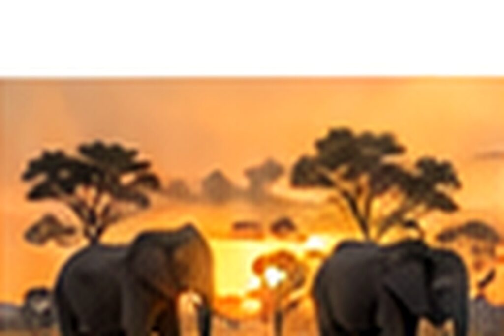 Kenya Maasai Mara Game Drives for Groups