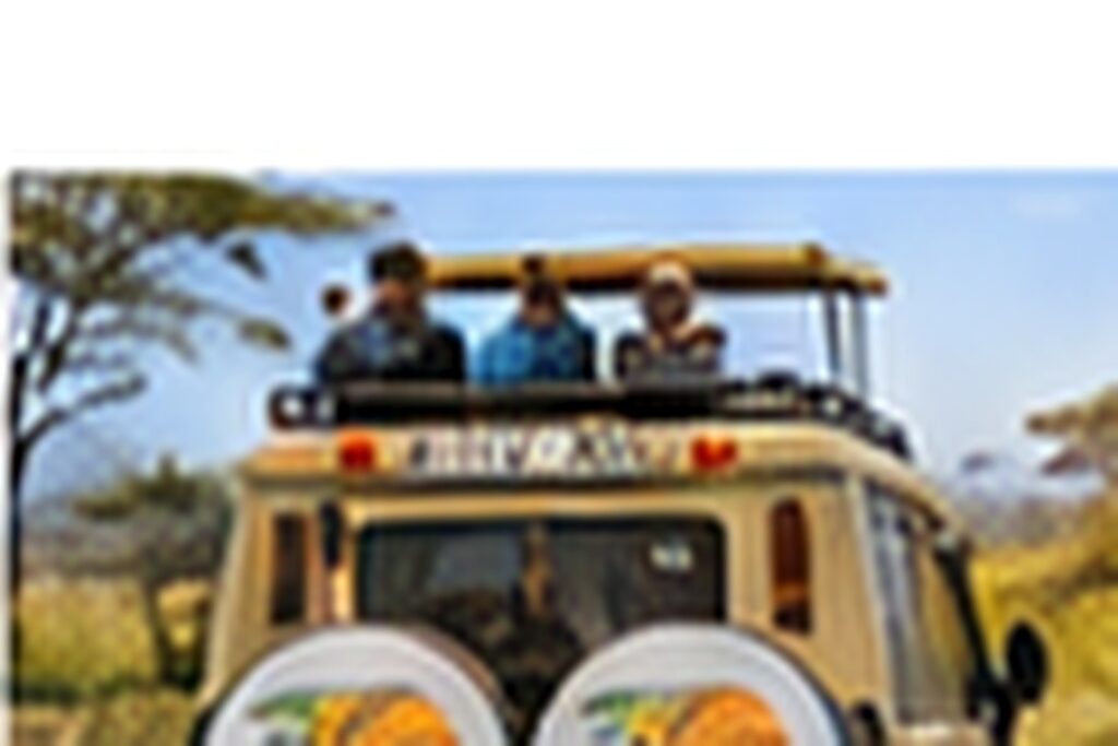 East Africa Safari Vehicle Experience for Groups