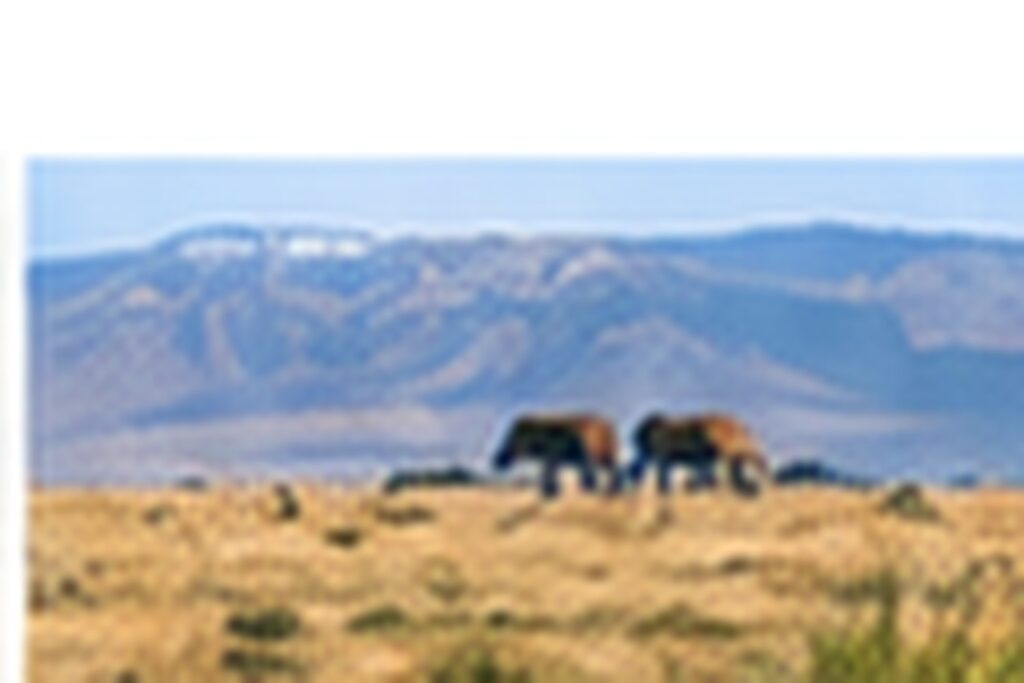 14 Day East Africa Group Safari Tanzania Uganda Rwanda Kenya