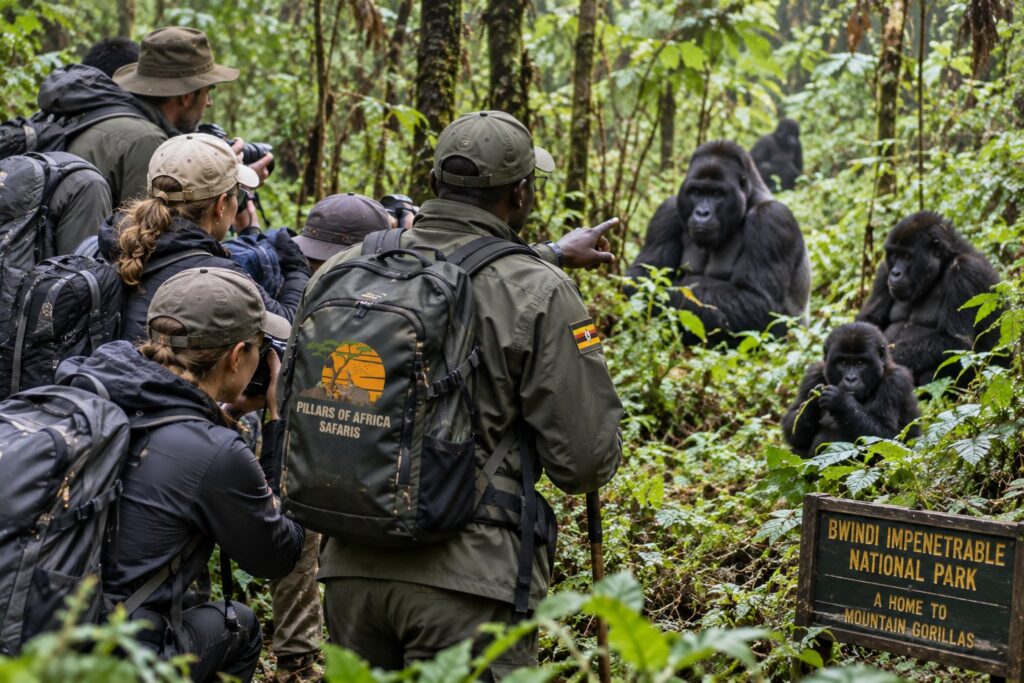Uganda Gorilla Trekking for East Africa Group Tours